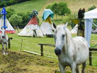 Pamali Festival 2015 - Conto alla rovescia per il Pamali Festival. Ci siamo quasi - 12